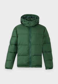 RETAYA - Vinterjakker - dark green