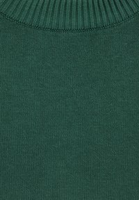 Pull tricoté de couleur vert foncé. Il présente un col rond côtelé et une texture fine sur toute la surface. Couleur uniforme sans motifs ni accents visibles.