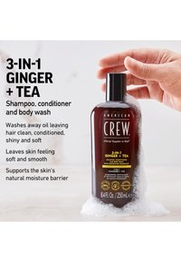 American Crew 3-IN-1 GINGER & TEA SHAMPOO, CONDITIONER, AND BODY WASH - Shower gel
