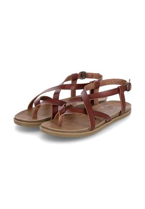 MIRENDA - Sandals - braun