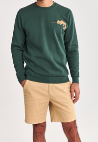 Felpa in cotone verde con maniche lunghe, polsini a coste e una grafica di un camaleonte arancione sul petto, abbinata a pantaloni corti beige.