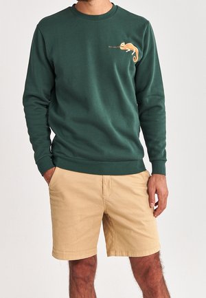 Sudadera de algodón verde con mangas largas, puños acanalados y un gráfico de camaleón en naranja en el pecho, combinada con pantalones cortos beige.
