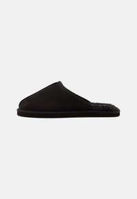 Избран, anthracite