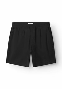 Ausgewählt, meteorite