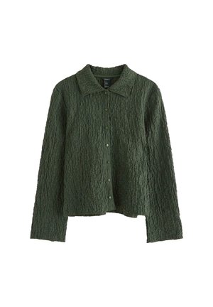 Zelená, strukturovaná košile s dlouhými rukávy, límečkem a zapínáním na knoflíky. Obsahuje zvrásněný vzor po celém povrchu.