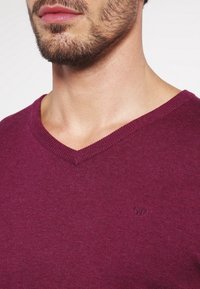 Pull col en V bordeaux en tissu doux avec une finition texturée. Présente un petit logo de marque sur la poitrine et un col côtelé.