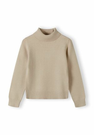 Pull beige avec un col roulé côtelé, des manches longues et un ourlet légèrement court. Fabriqué en tissu lisse et doux avec une texture uniforme.