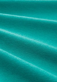 TOM TAILOR DENIM U-BOOT AUSSCHNITT - Langarmshirt - jade green melange