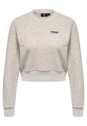 Sweatshirt - grey