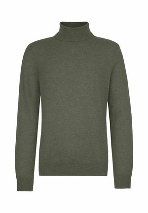 Olivgrüner Rollkragenpullover aus weichem Strickstoff, mit langen Ärmeln, einem enganliegenden Kragen und einer glatten, gleichmäßigen Textur.