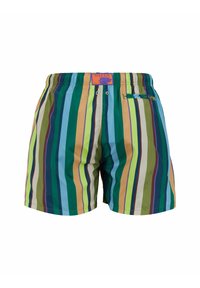 Pantaloni da bagno da uomo con strisce verticali in tonalità di verde, blu, marrone e viola, dotati di vita elastica e tasca posteriore.