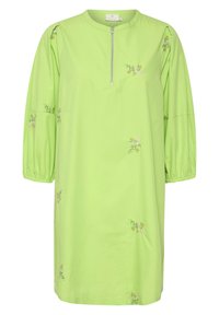 Robe vert clair jusqu'aux genoux avec manches bouffantes jusqu'au coude, demi-fermeture éclair devant et petite broderie florale dispersée.