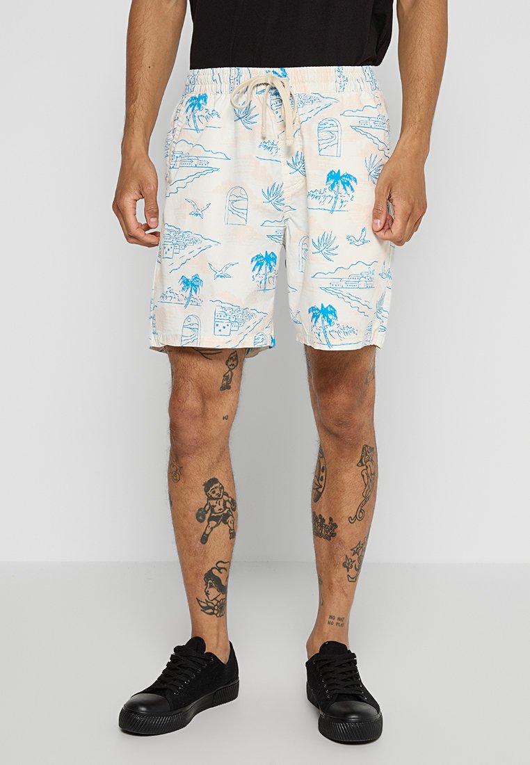 Vans Shorts lichtblauw