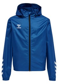 Non sélectionné, true blue