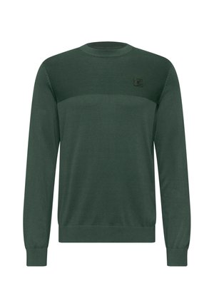 Maglione verde con scollatura tonda, texture a coste sulle spalle e un piccolo logo decorativo. Maniche lunghe con polsini aderenti.