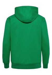 Grøn hættetrøje med enkelt design. Har lange ærmer, ribkanter ved ærmer og kant, blødt stof og en rummelig hætte. Ingen synlige mønstre.