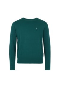 Grüner Pullover aus weichem Stoff, mit klassischem Rundhalsausschnitt, langen Ärmeln und einem kleinen Logo auf der linken Brust.