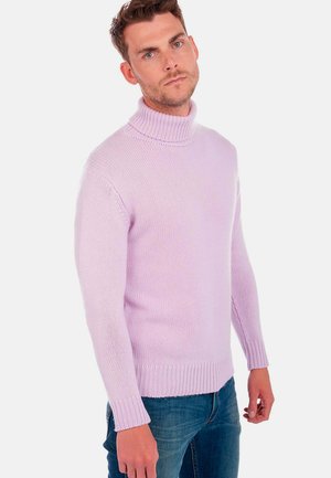 Hellblauer Rollkragenpullover aus Strickstoff mit gerippten Bündchen und Saum, kombiniert mit blauen Jeans. Schlichtes und klassisches Design.