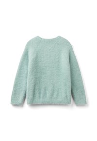 Maglione fluffy verde menta chiaro, con colletto rotondo, maniche lunghe, orlo a coste e una texture morbida. Vista posteriore, senza motivi o accenti.