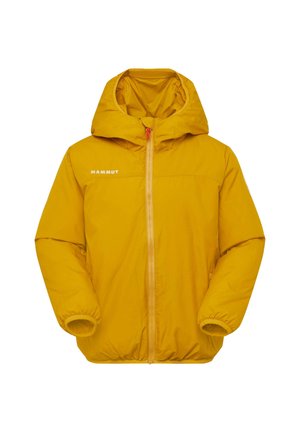 Mammut RIME - Winterjacke - arnica