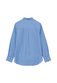 Long-sleeve blue shirt with vertical white stripes, buttoned cuffs, and a back pleat for added fit and comfort.
