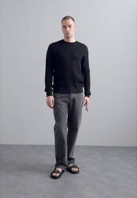 Won Hundred RYDER POINTELLE - Pullover - black