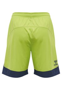 Gröna träningsshorts med en marinblå nederdel, elastisk midja och logotyp. Tillverkade av lätt och andningsbart tyg med en texturerad yta.
