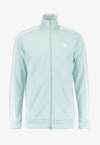 Nevybráno, ash green