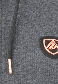 Peak Mountain Sudadera con cremallera - grey