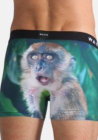 Boxers pour hommes colorés arborant une grande impression du visage d'un singe, confectionnés dans un tissu extensible avec une ceinture noire portant l'inscription "WAXX".