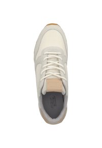 camel active FOG - Trainers - off white