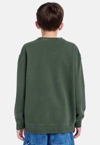 Groen sweatshirt van zachte stof, met een ronde halslijn, verlaagde schouders en geribbelde mouwen, gedragen met blauwe denim shorts.