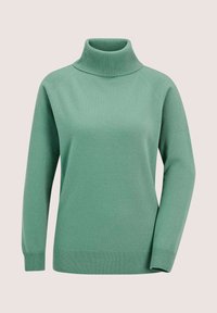 Turtleneck-Pullover aus weichem grünem Strick. Mit geripptem Kragen und Bündchen, entspannter Passform und durchgehend glatter Textur.