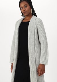 DRYKORN EILINA - Kardigán - grey