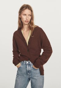 Hnědý cardigan s černými knoflíky, dlouhými rukávy a límcem do V. Nosený přes světle zelený top a kombinovaný s džíny s vysokým pasem.