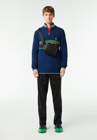 Niebieski sweter dzianinowy z pasiastymi akcentami, czarna torebka na ramię, czarne spodnie z ozdobami oraz zielone i granatowe sneakersy.