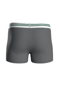 Šedé boxerky s hladkou texturou a širokým bílým pasem s dvěma zelenými pruhy na horním okraji.