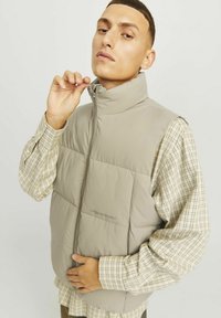 Gaiši pelēks pūšamais vests ar augstu apkakli, ar rāvējslēdzēju un quilted dizainu. Uzvilkts virs bēša pārbaudītā krekla ar vaļīgām piedurknēm.
