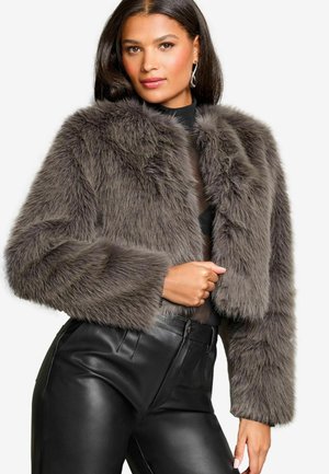 Lipsy REGULAR FIT - Zimná bunda - grey