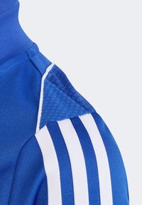Blaue Sportjacke mit hohem Kragen, strukturiertem Stoff und weißen Streifen im Schulterbereich für einen Kontrast.