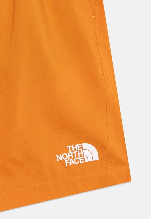 The North Face TEEN PENTADOME EMBOSSING UNISEX - Sports shorts - dust orange — foto 4
