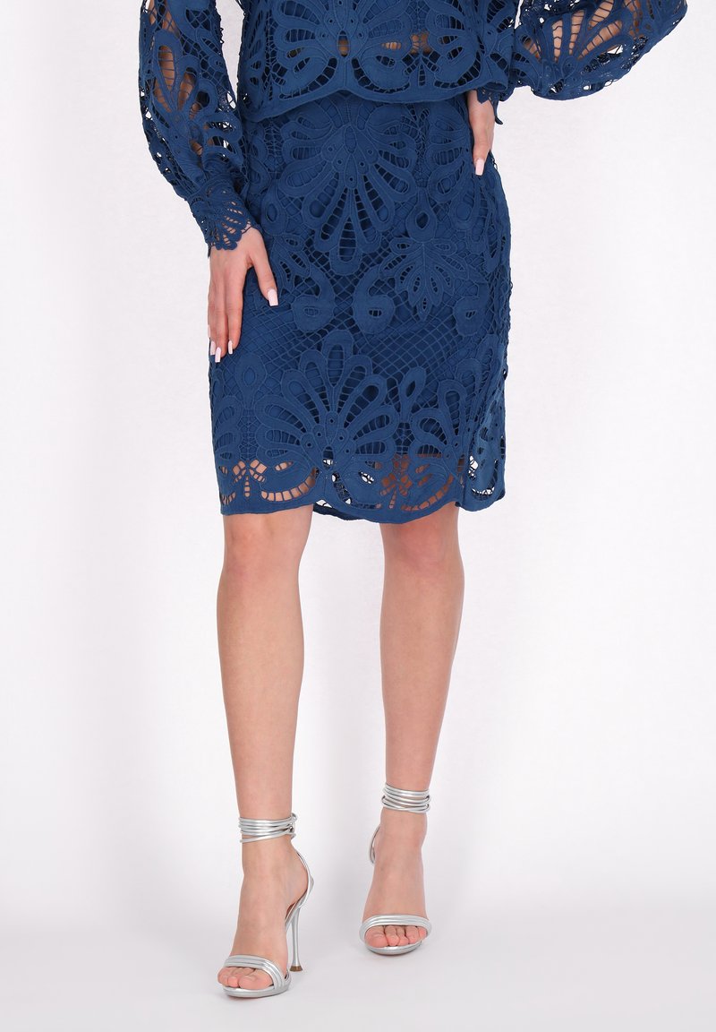 Navy blue lace dress with floral cutouts, featuring long sleeves and a pencil silhouette. Silver strappy high-heeled sandals complement the outfit.