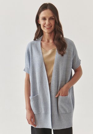 Cardigan lavorato a maglia azzurro chiaro con un motivo testurizzato, davanti aperto, maniche corte e due tasche frontali. Indossato sopra una maglietta dorata.