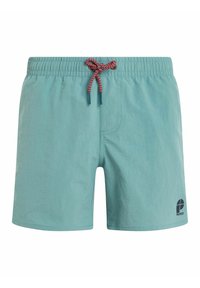 Protest - CULTURE JR  - Badeshorts - arcticgreen Miniaturebillede 1