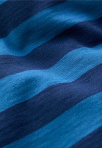 Seasalt Cornwall Langarmshirt - blue