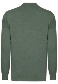 Grüner gestrickter Pullover, lange Ärmel, gerippter Saum und Bündchen, glatte Textur, klassisches Kragendesign, minimalistischer Stil, keine sichtbaren Logos oder Muster.