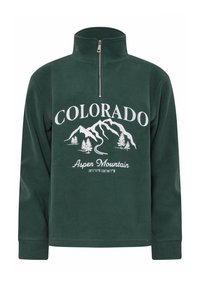 Pullover verde in pile con colletto a zip a un quarto, caratterizzato da una grafica bianca di montagne e alberi, e il testo "COLORADO Aspen Mountain."