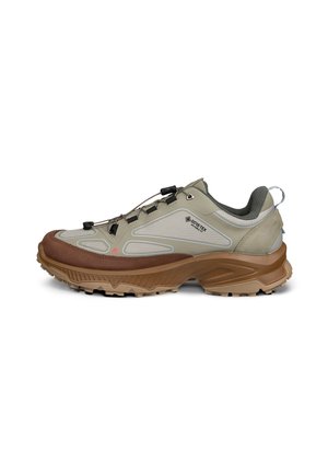 Hellbrauner und beiger Gore-Tex Trail-Schuh mit robuster Sohle, Zuglasche und schnellem Schnürsystem, entwickelt für Outdoor-Wandern und Langlebigkeit.