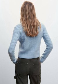 Maglione lavorato a maglia blu cielo con motivo testurizzato, maniche lunghe e orlo a coste. Indossato con pantaloni cargo verde scuro, visione dal retro.