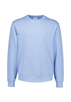 Lichtblauwe crewneck-trui met lange mouwen, geribde manchetten en zoom, weergegeven op een witte achtergrond.